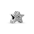 Charm De Estrela Brilhante Assimetrico
