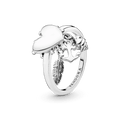 Anel Amuletos