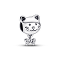 Charm Gato de Estimação