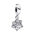 Charm Animal de Estimação Cintilante