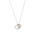 Colar Open Heart Double
